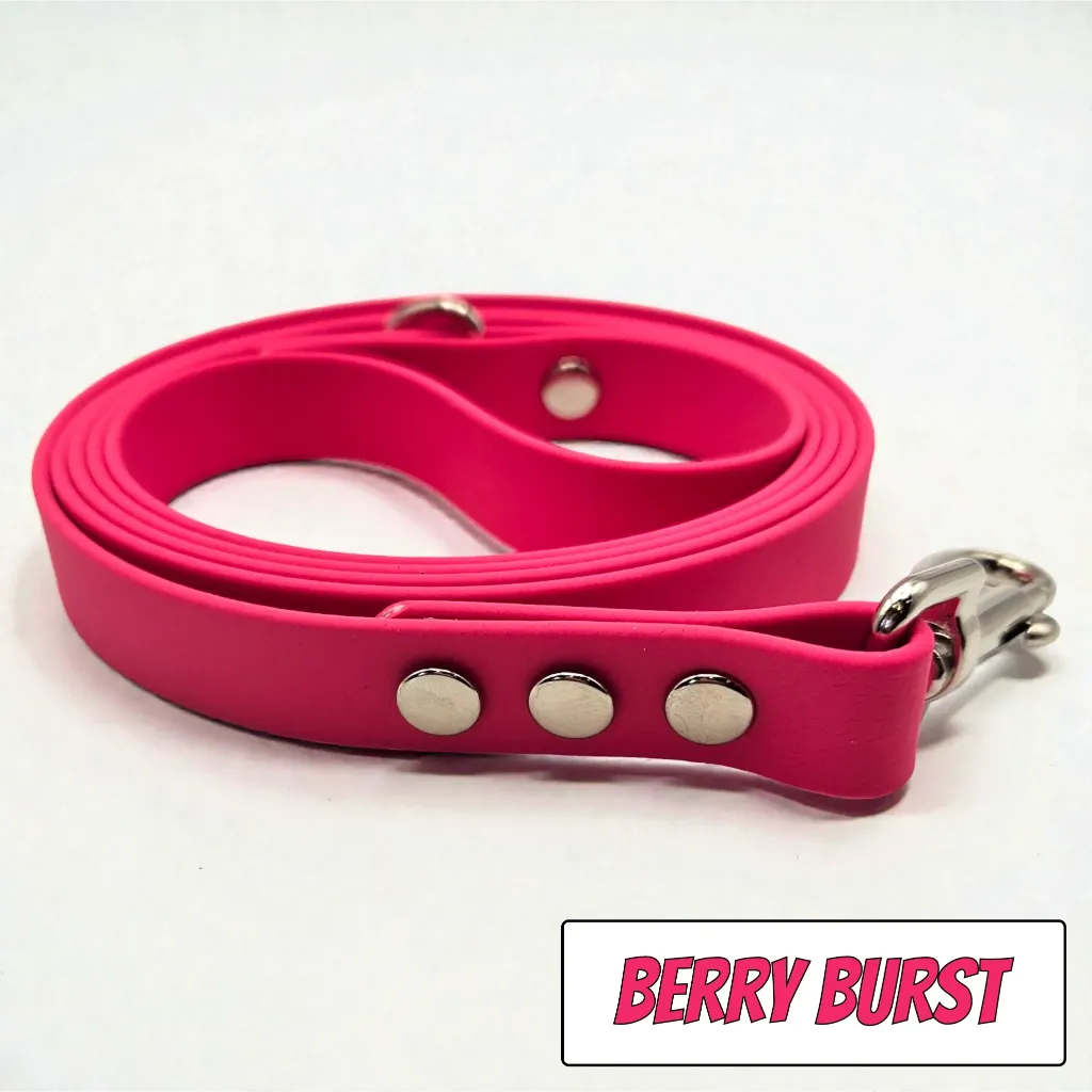 pop collection - classic lead - Berry Burst Studio 1- shop.webp