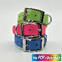 pop collection - classic collar - Group Studio 3- shop.webp