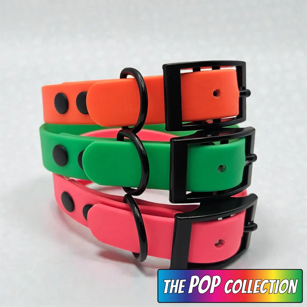 pop collection - classic collar - Group Studio 2- shop.webp