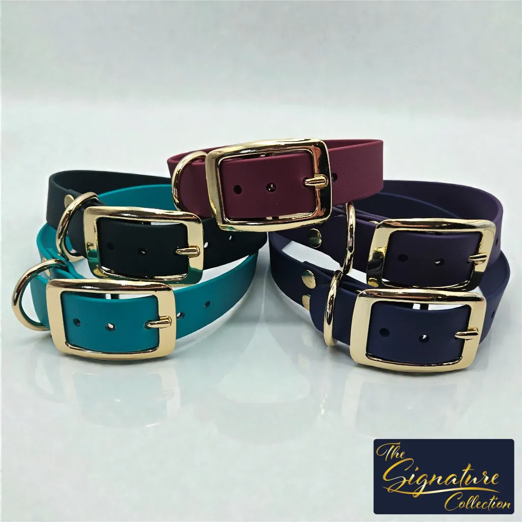 signature collection - classic collar - Group Studio 3- shop.webp