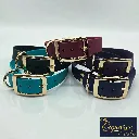 signature collection - classic collar - Group Studio 3- shop.webp