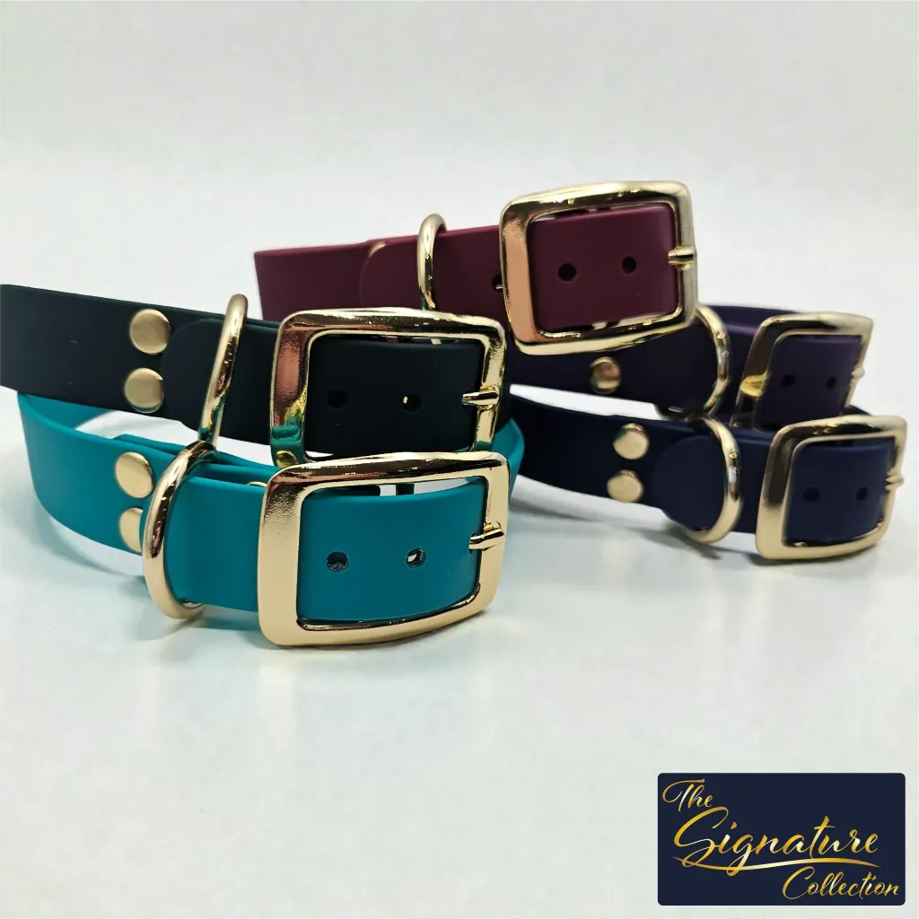 signature collection - classic collar - Group Studio 2- shop.webp