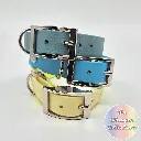 whisper collection - classic collar - Group Studio 4- shop.webp