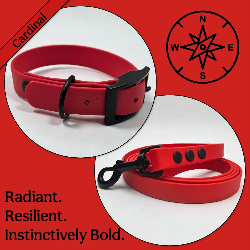 essential collection - classic set - Cardinal Bundle- shop.webp