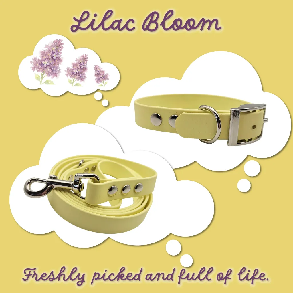 whisper collection - classic - Lilac Bloom Bundle- shop.webp