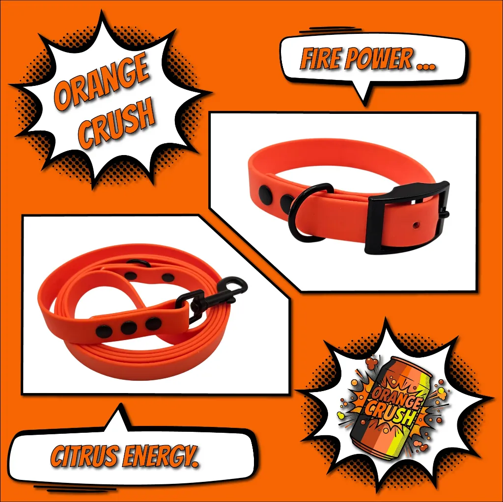 pop collection - classic - Orange Crush Bundle- shop.webp