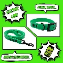 pop collection - classic - Electric Lime Bundle- shop.webp