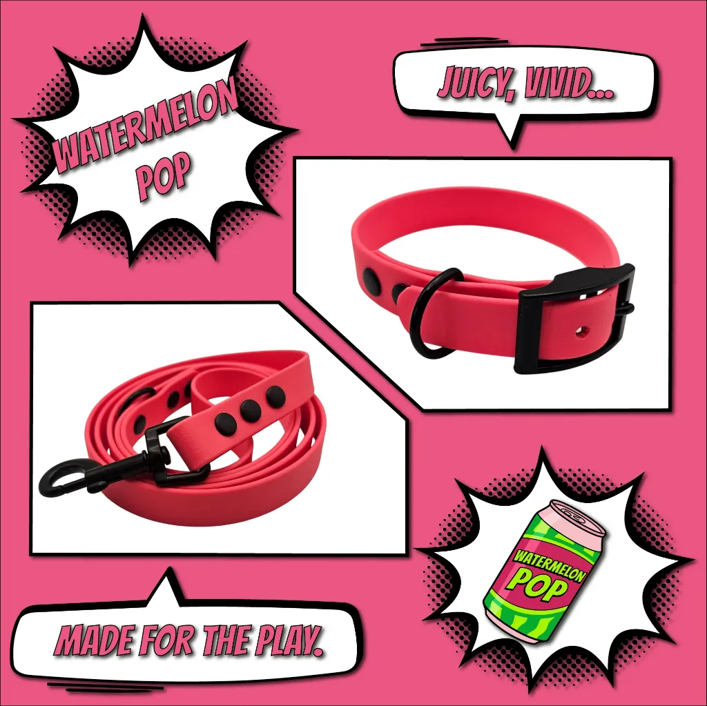 pop collection - classic - Watermelon POP Bundle- shop.webp