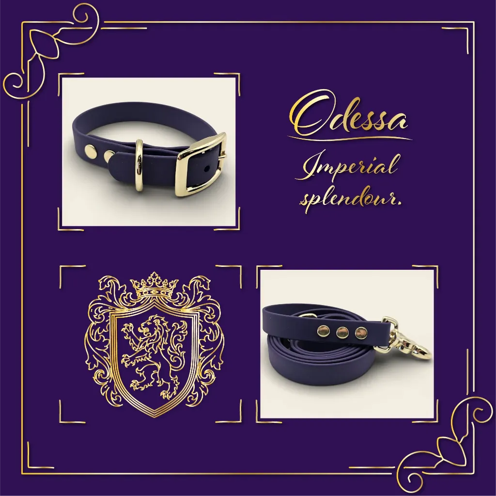 signature collection - classic - Odessa Bundle- shop.webp