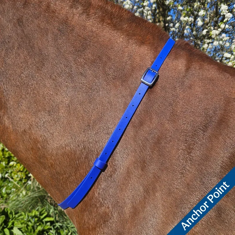 BioThane Neck Strap - Essential Collection - Anchor Point-web.webp