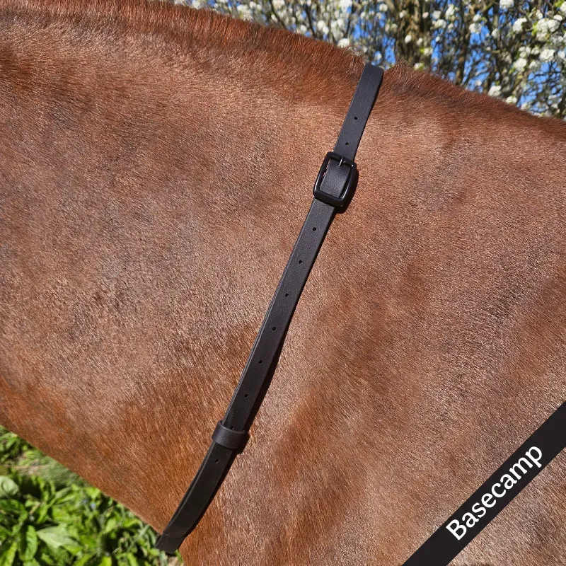 BioThane Neck Strap - Essential Collection - Basecamp-web.webp