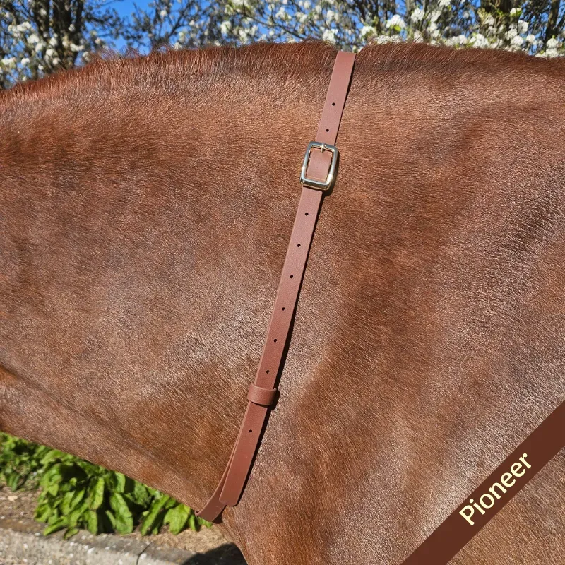 BioThane Neck Strap - Essential Collection - Pioneer-web.webp