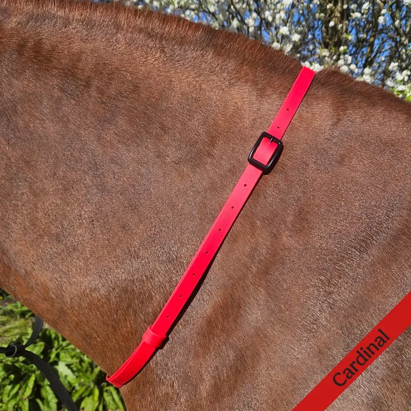 BioThane Neck Strap - Essential Collection - Cardinal-web.webp