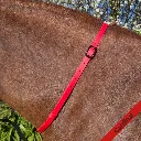 BioThane Neck Strap - Essential Collection - Cardinal-web.webp