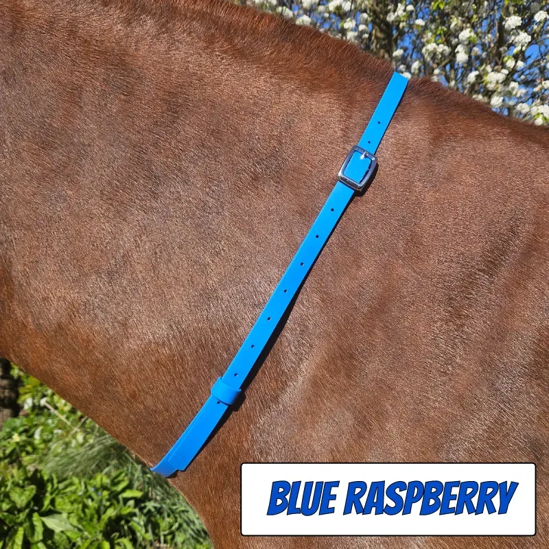 BioThane Neck Strap - POP Collection - Blue Raspberry-web.webp