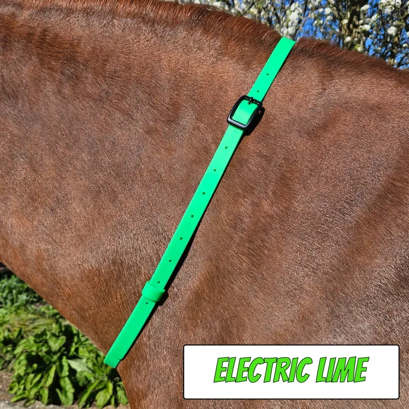 BioThane Neck Strap - POP Collection - Electric Lime-web.webp