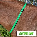 BioThane Neck Strap - POP Collection - Electric Lime-web.webp
