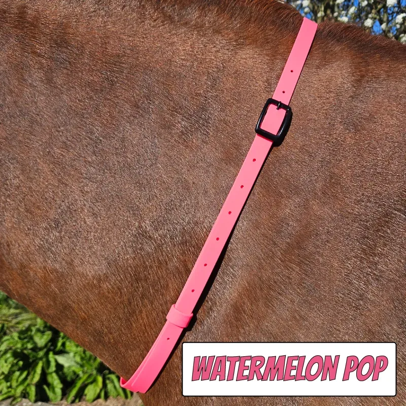 BioThane Neck Strap - POP Collection - Watermelon Pop-web.webp