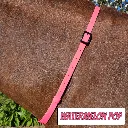 BioThane Neck Strap - POP Collection - Watermelon Pop-web.webp