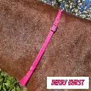 BioThane Neck Strap - POP Collection - Berry Burst-web.webp