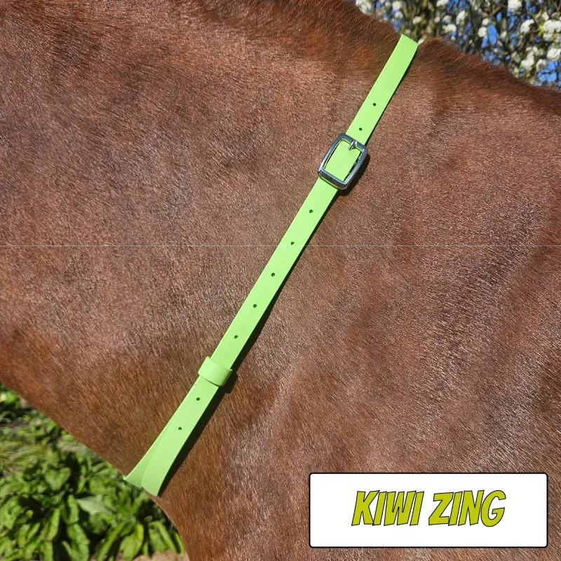 BioThane Neck Strap - POP Collection - Kiwi Zing-web.webp
