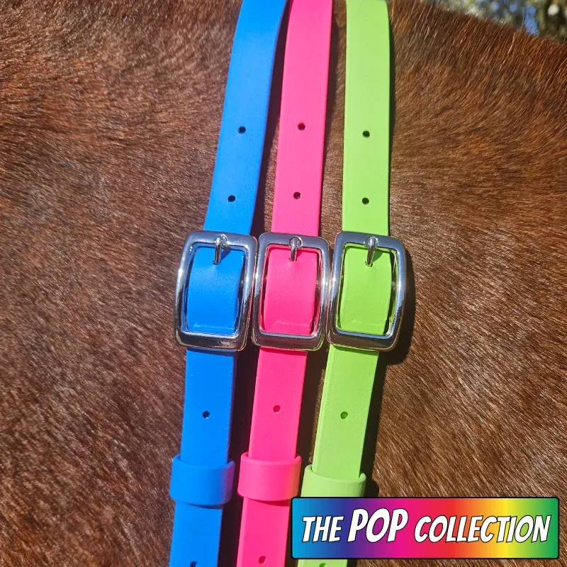 BioThane Neck Strap - POP Collection - Bright & Silver 1-web.webp