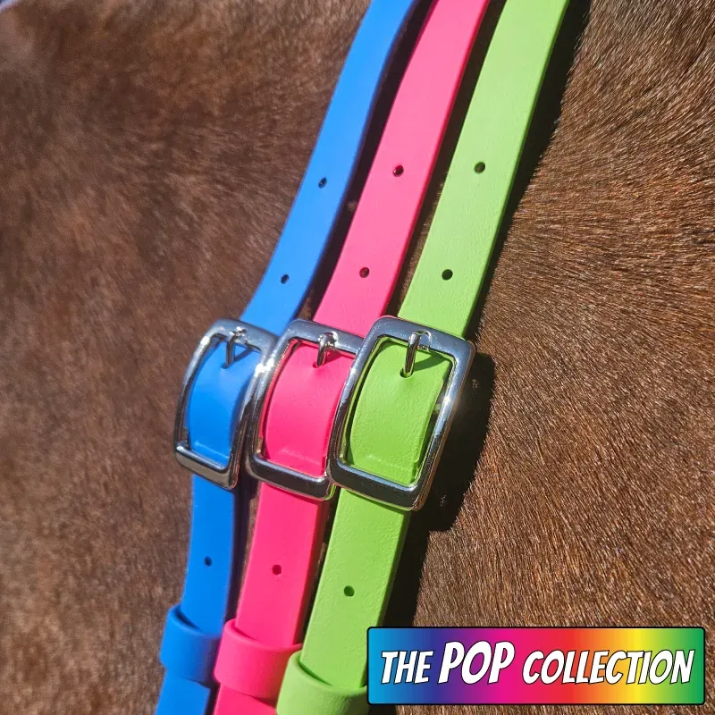 BioThane Neck Strap - POP Collection - Bright & Silver 2-web.webp