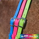 BioThane Neck Strap - POP Collection - Bright & Silver 2-web.webp
