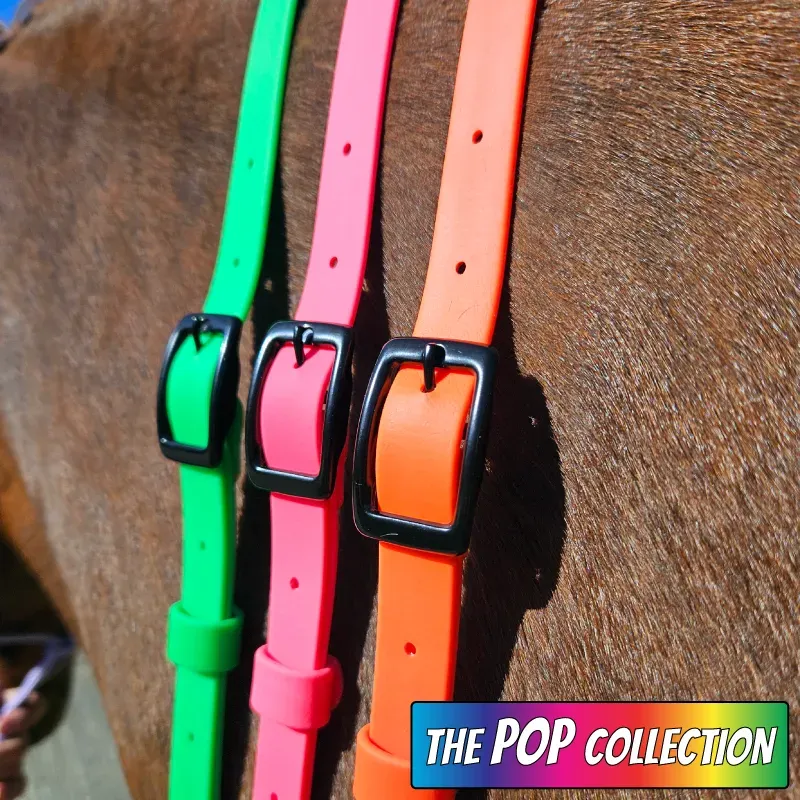 BioThane Neck Strap - POP Collection - Neon & Black 2-web.webp