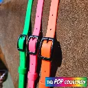 BioThane Neck Strap - POP Collection - Neon & Black 2-web.webp