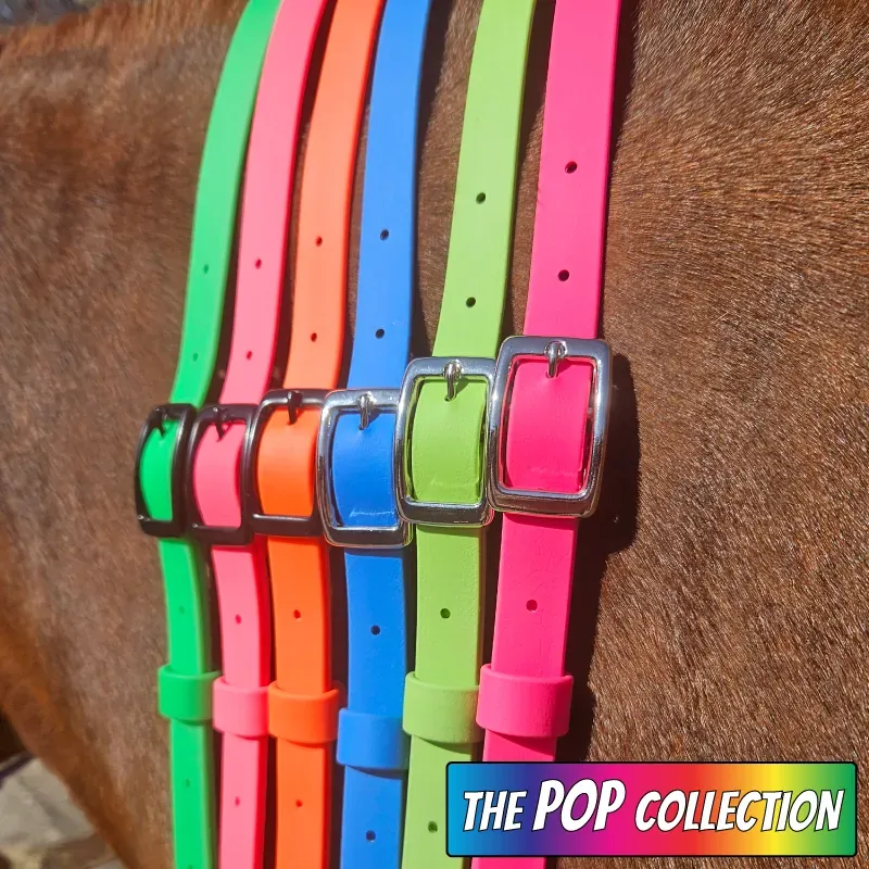 BioThane Neck Strap - POP Collection - All 1-web.webp