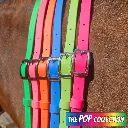 BioThane Neck Strap - POP Collection - All 1-web.webp