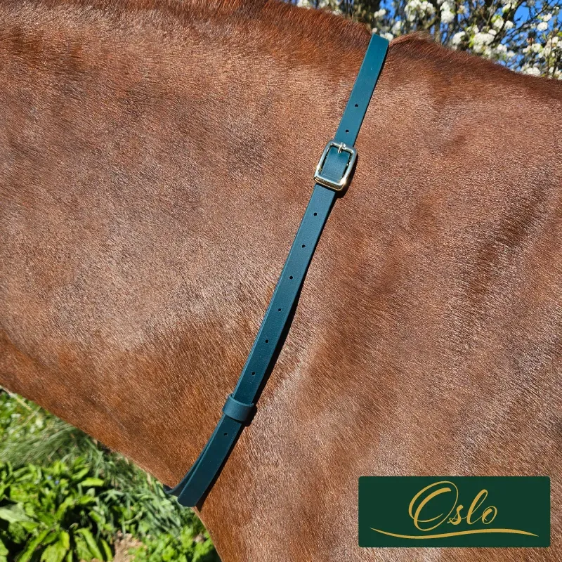BioThane Neck Strap - Signature Collection - Oslo-web.webp