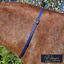 BioThane Neck Strap - Signature Collection - Dover-web.webp