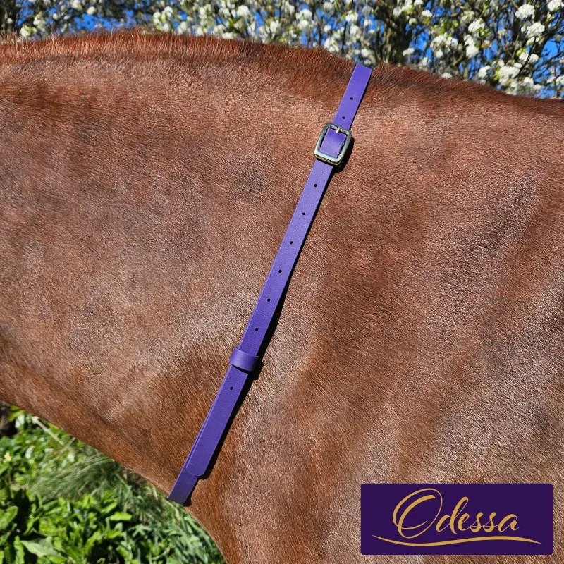 BioThane Neck Strap - Signature Collection - Odessa-web.webp