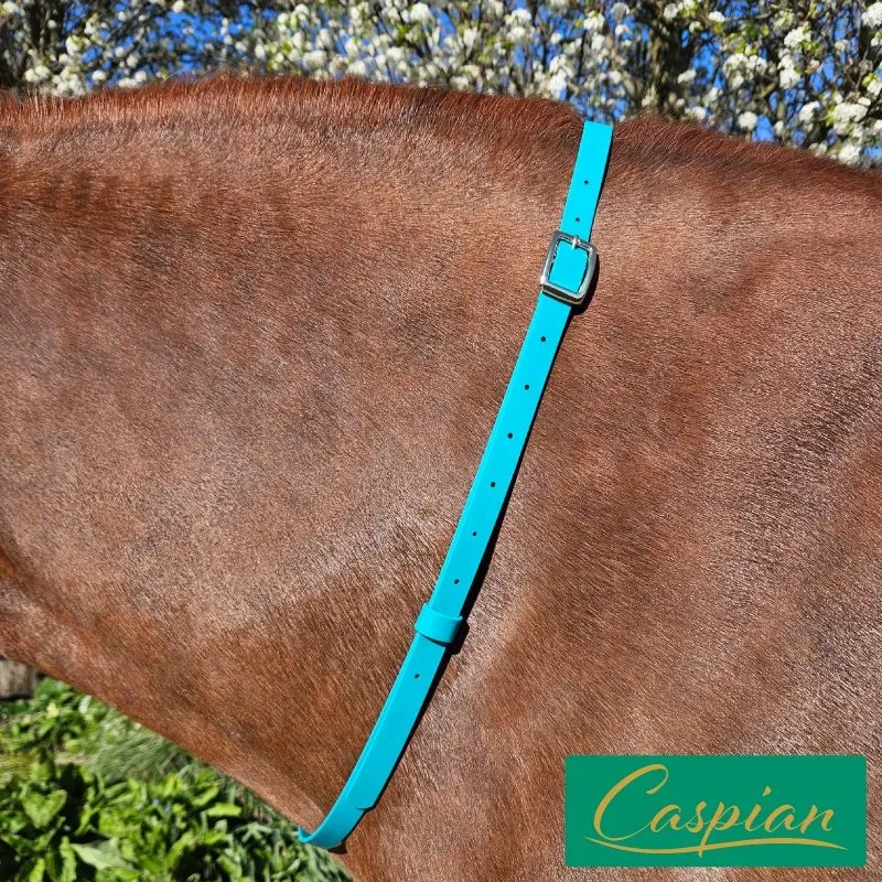 BioThane Neck Strap - Signature Collection - Caspian-web.webp