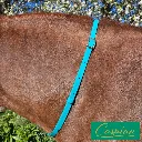 BioThane Neck Strap - Signature Collection - Caspian-web.webp