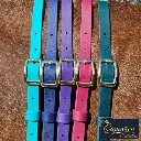 BioThane Neck Strap - Signature Collection - All 3-web.webp