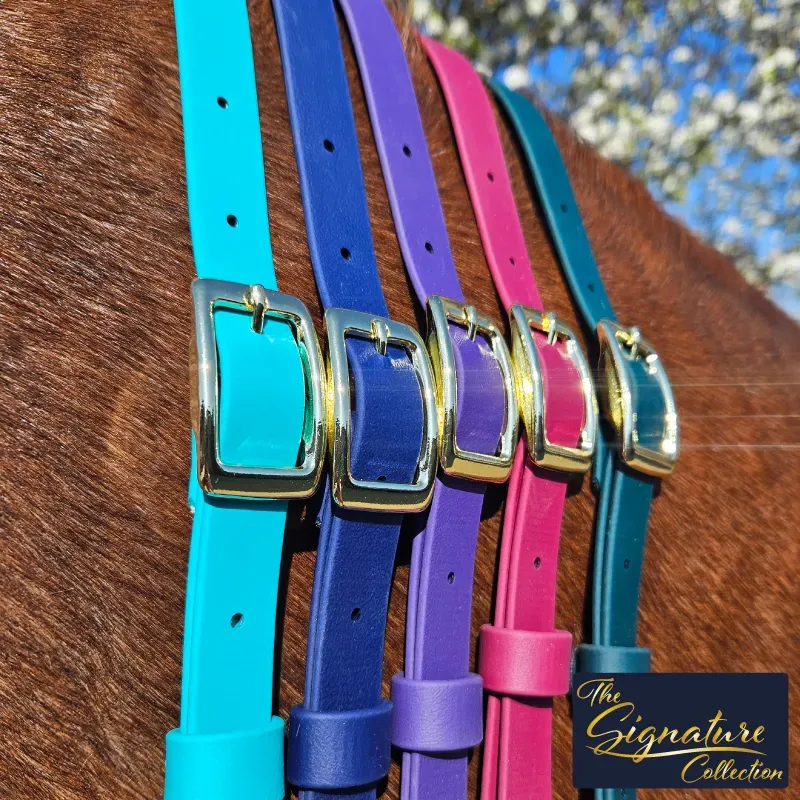 BioThane Neck Strap - Signature Collection - All 1-web.webp