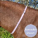 BioThane Neck Strap - whisper Collection - Lavender Dream-web.webp