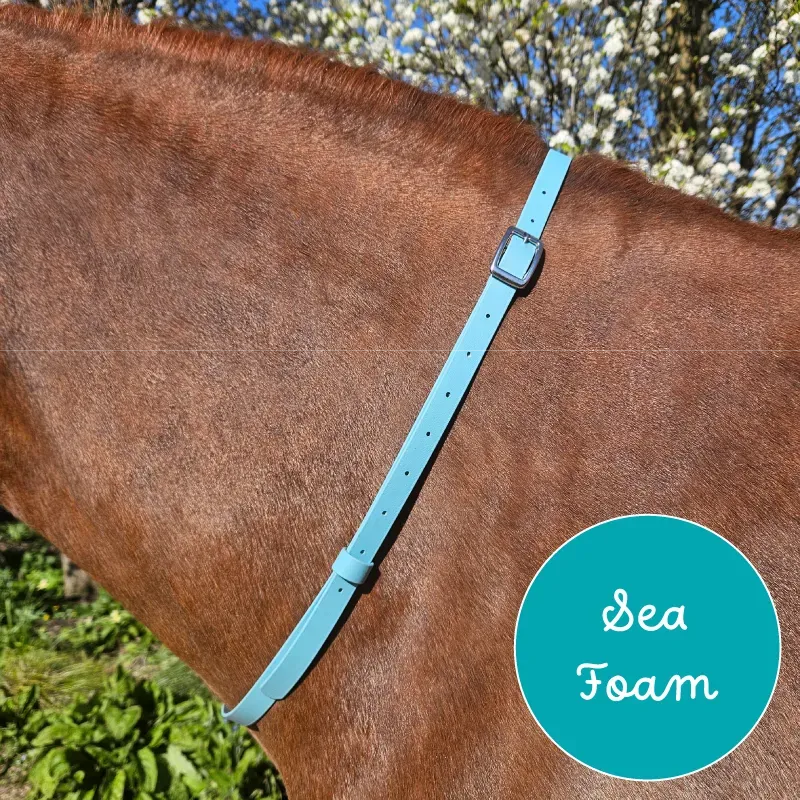 BioThane Neck Strap - whisper Collection - Sea Foam-web.webp