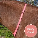 BioThane Neck Strap - whisper Collection - Misty Coral-web.webp