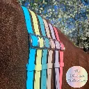 BioThane Neck Strap - whisper Collection - All 3-web.webp