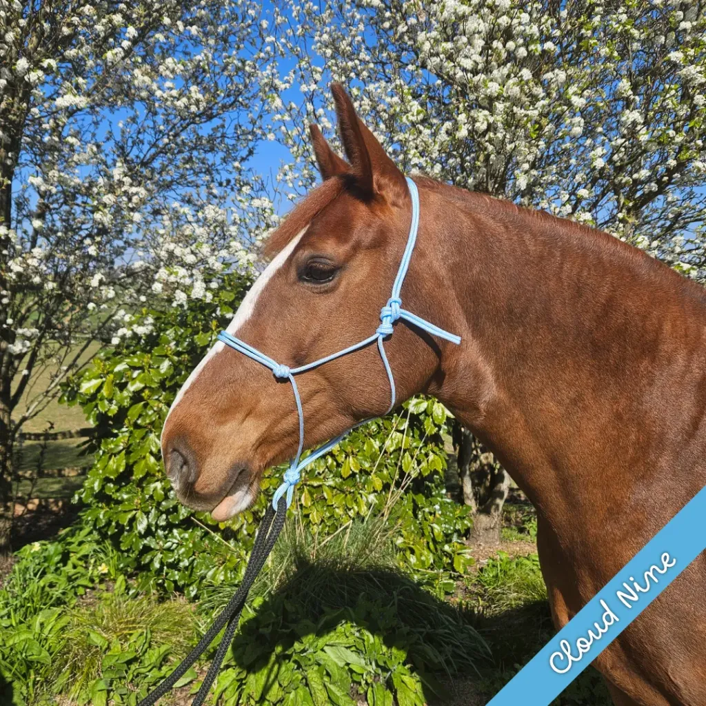 Rope Halter - whisper - Cloud Nine - web.webp