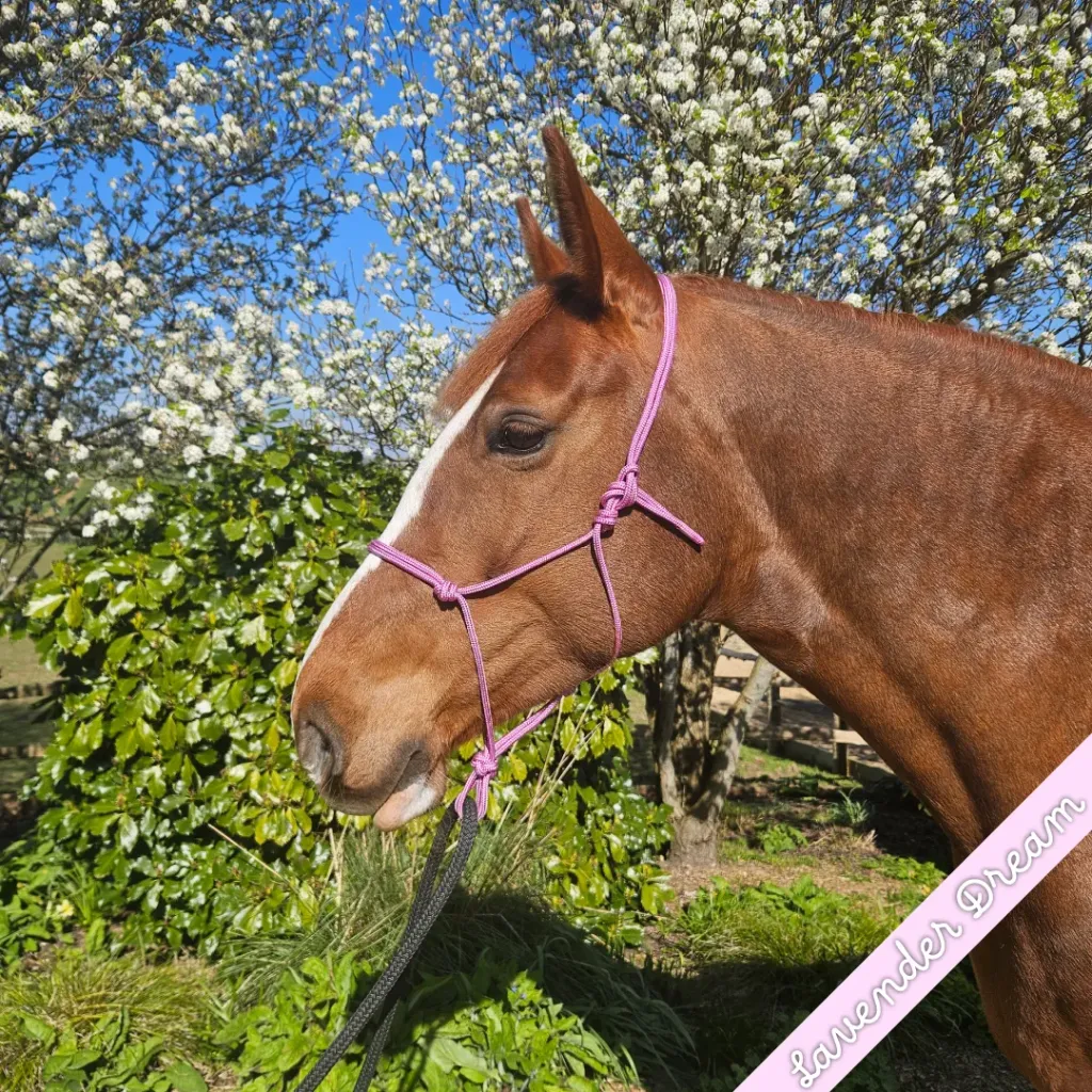 Rope Halter - whisper - Lavender Dream - web.webp