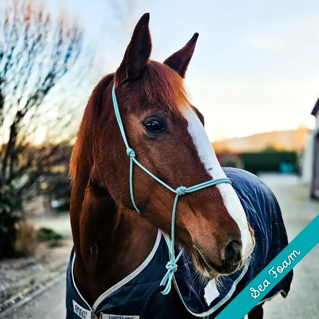 Rope Halter - whisper - Sea Foam - web.webp