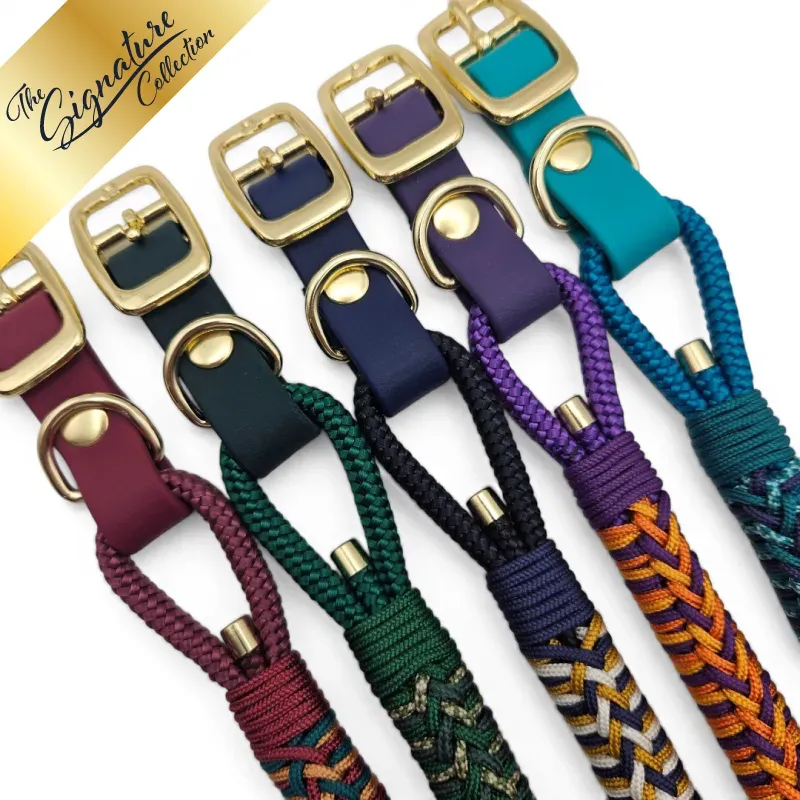 Signature Collection - Firle Collar - Group Shot - web.webp