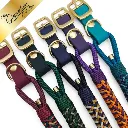 Signature Collection - Firle Collar - Group Shot - web.webp