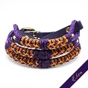 Signature Collection - Firle Collar - Odessa - web.webp