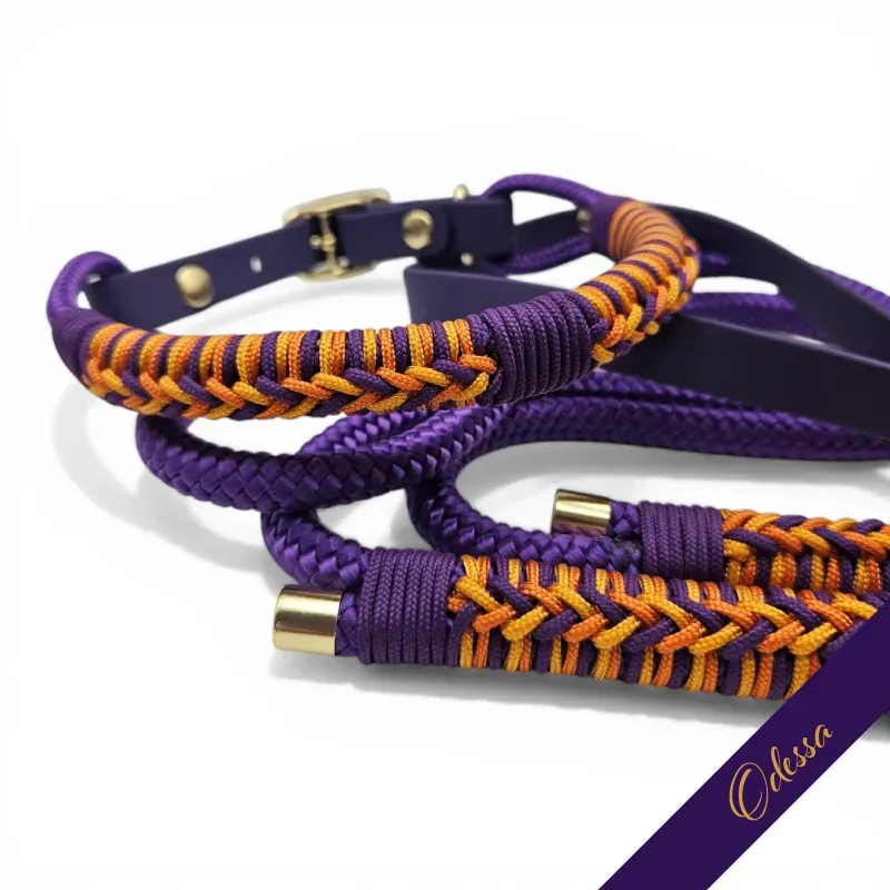 MAIN Signature Collection - Firle Collar - Odessa_1 - web.webp